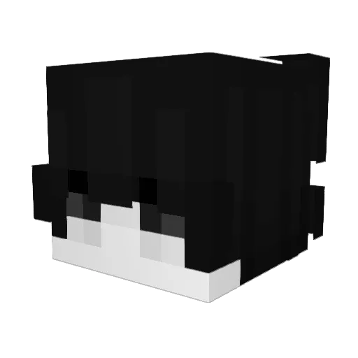 AnjMC Minecraft avatar head, 3D render
