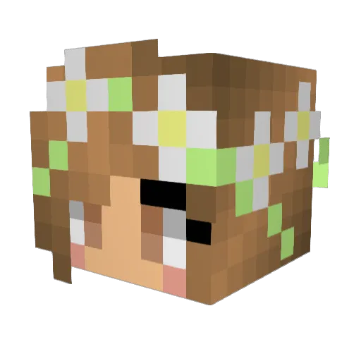 Anja_Minti Minecraft avatar head, 3D render