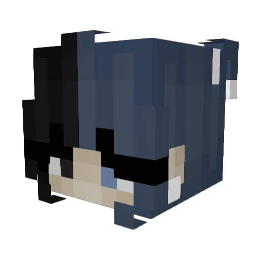 Anjarye Minecraft avatar head, 3D render
