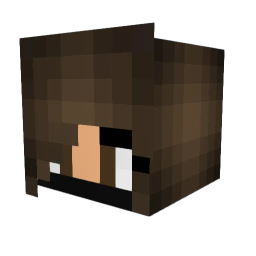 AnjiHana Minecraft avatar head, 3D render