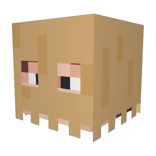 Anjiajia Minecraft avatar head, 3D render