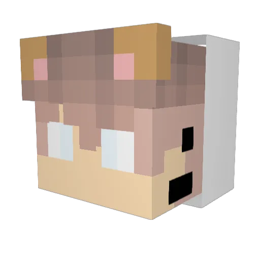 AnjinhoMal Minecraft avatar head, 3D render