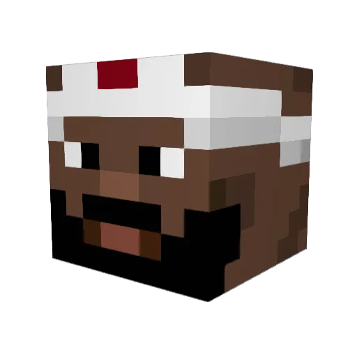 Anjo1831 Minecraft avatar head, 3D render