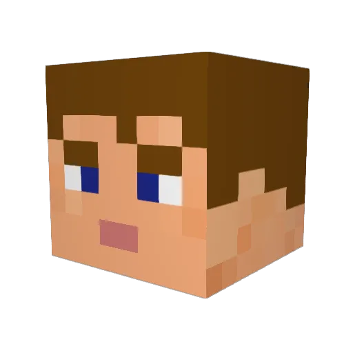 AnjoTerra Minecraft avatar head, 3D render