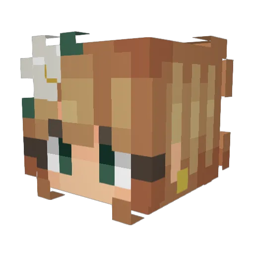 AnkaHooliganka Minecraft avatar head, 3D render