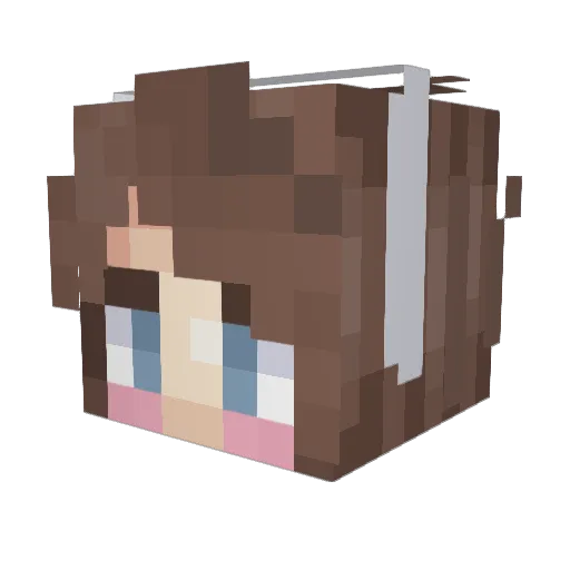 Ankah Minecraft avatar head, 3D render
