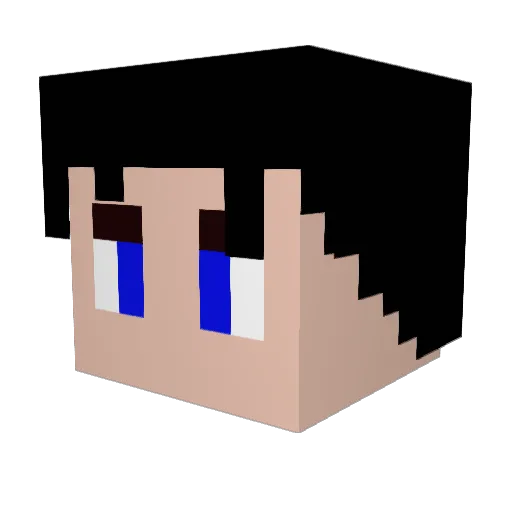 Ankan222 Minecraft avatar head, 3D render