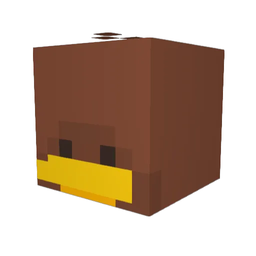 AnkanPankan Minecraft avatar head, 3D render