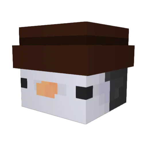 Ankarsol Minecraft avatar head, 3D render