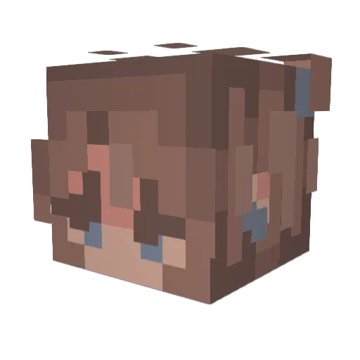 Ankat08 Minecraft avatar head, 3D render