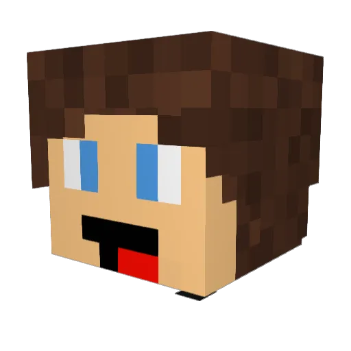 Ankauf_ODP Minecraft avatar head, 3D render
