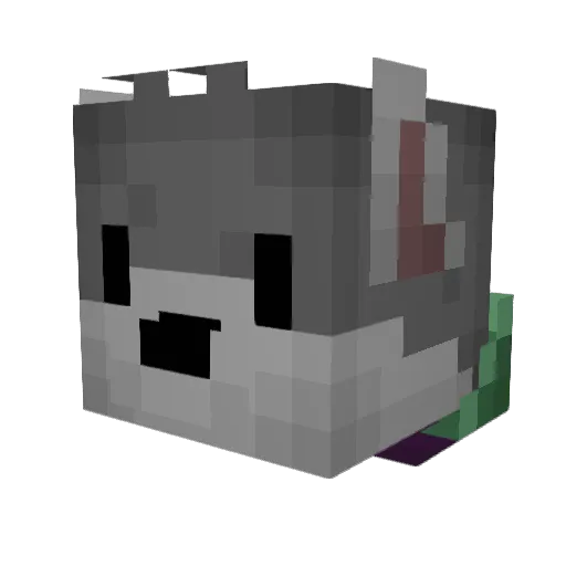 Anke64 Minecraft avatar head, 3D render