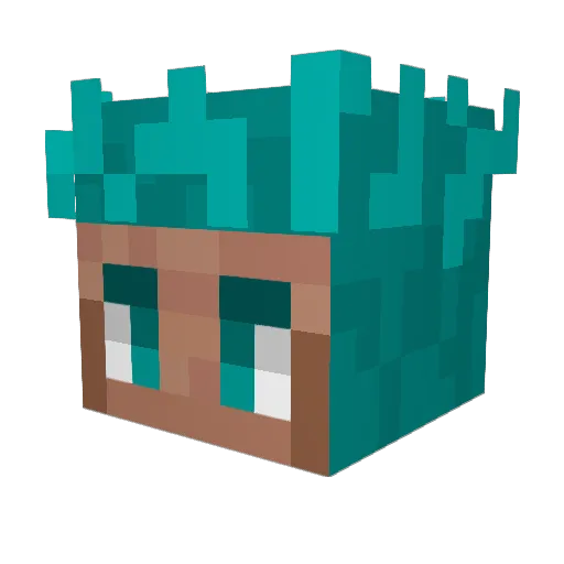 Anker12138 Minecraft avatar head, 3D render