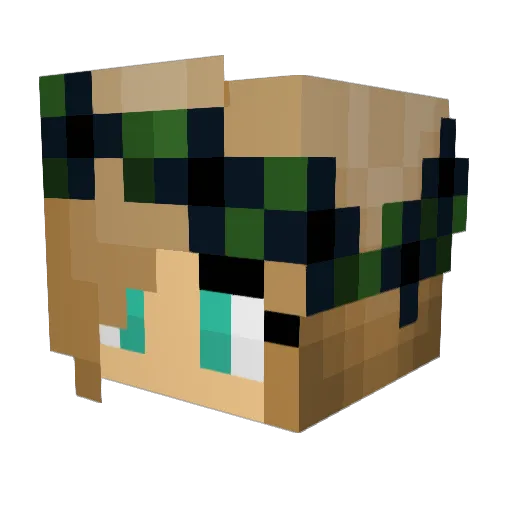 AnkerAstray Minecraft avatar head, 3D render