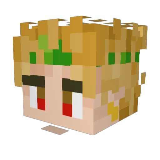 Ankermann Minecraft avatar head, 3D render