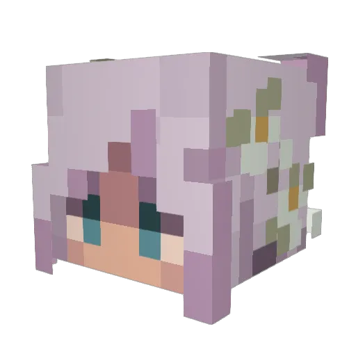 Ankerwisp Minecraft avatar head, 3D render