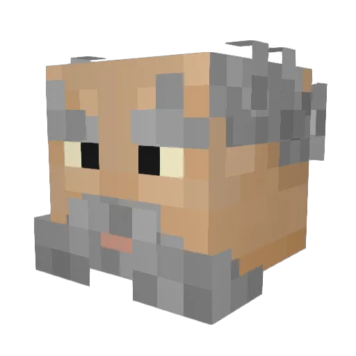 Ankfoten Minecraft avatar head, 3D render