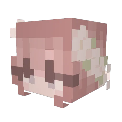 AnkhaA Minecraft avatar head, 3D render