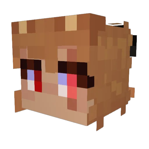 AnkiX3 Minecraft avatar head, 3D render