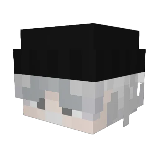 Anki_yt Minecraft avatar head, 3D render
