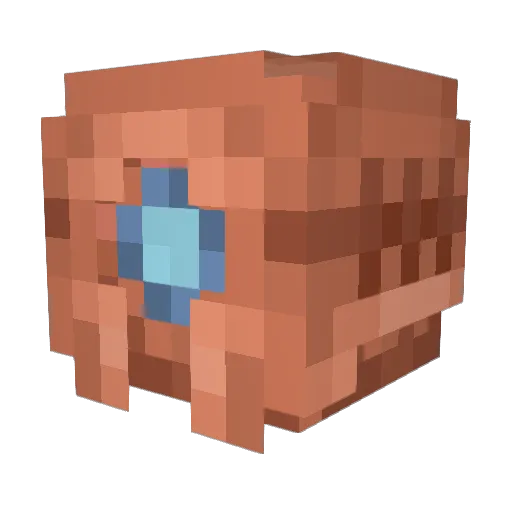 Ankidoe Minecraft avatar head, 3D render