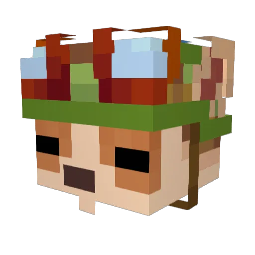 Ankisaurus244 Minecraft avatar head, 3D render