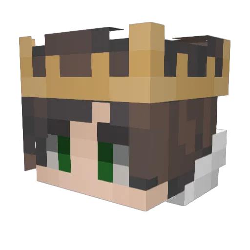 Ankitify Minecraft avatar head, 3D render