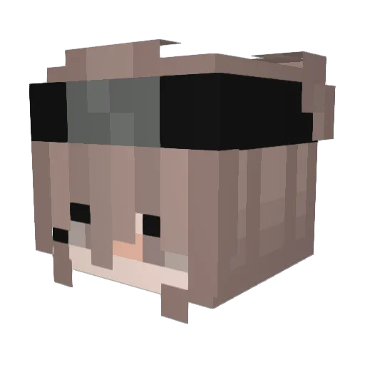 Ankix Minecraft avatar head, 3D render