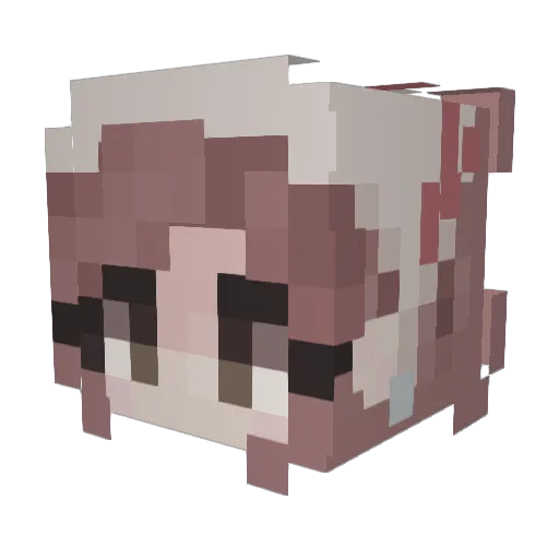 Ankle09 Minecraft avatar head, 3D render