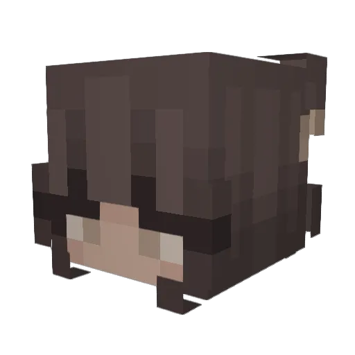 Ankless_ Minecraft avatar head, 3D render