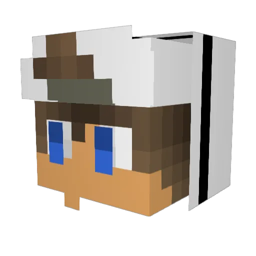 Ankol360 Minecraft avatar head, 3D render