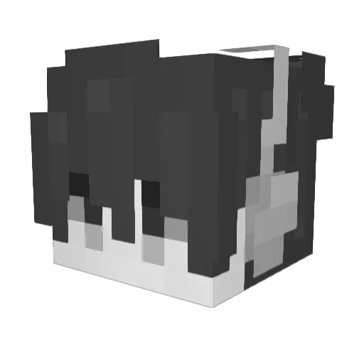 Ankxa Minecraft avatar head, 3D render