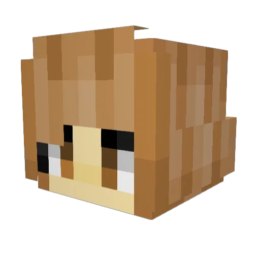 Anlahuakeba Minecraft avatar head, 3D render