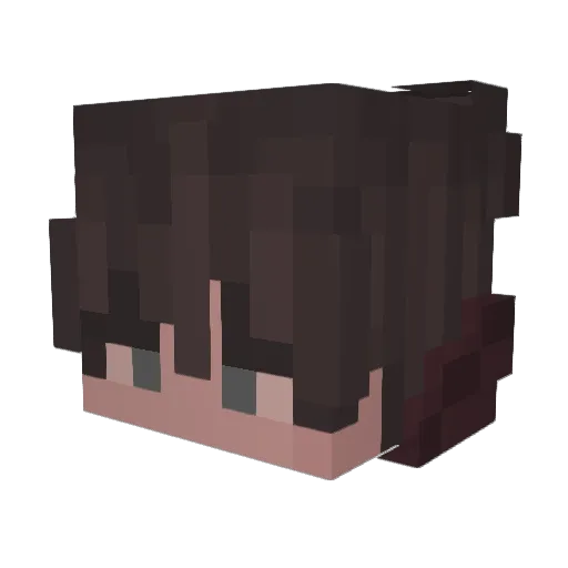 Anle_ Minecraft avatar head, 3D render