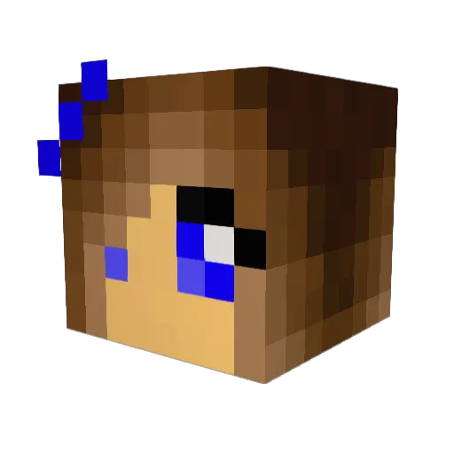 Anlipet Minecraft avatar head, 3D render