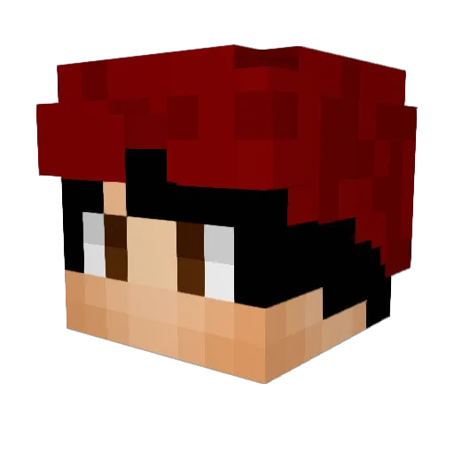 Anliuk Minecraft avatar head, 3D render