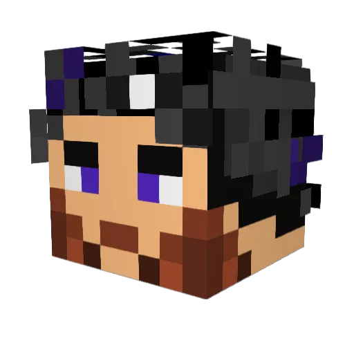 Anlov52 Minecraft avatar head, 3D render