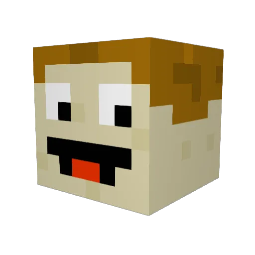 AnmieJunk Minecraft avatar head, 3D render