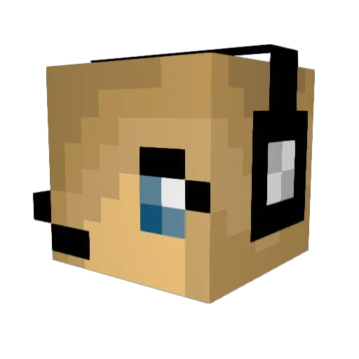 Ann4x Minecraft avatar head, 3D render
