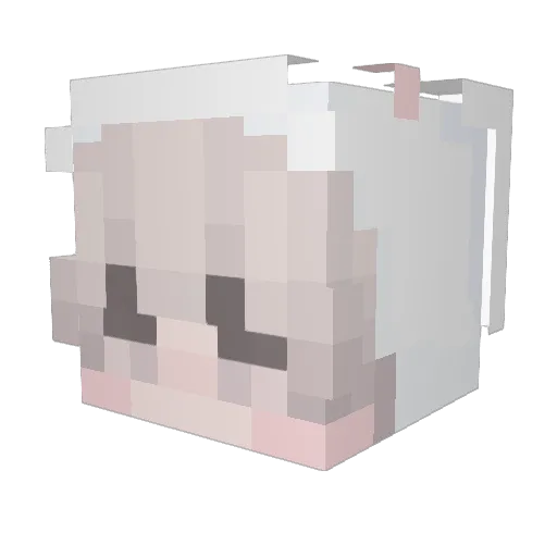 AnnTekk28 Minecraft avatar head, 3D render