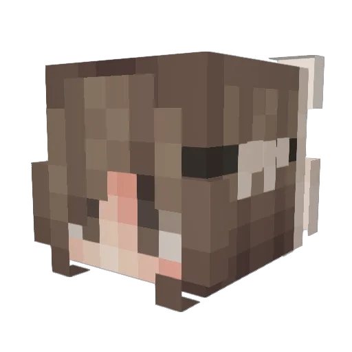 Anna01414 Minecraft avatar head, 3D render