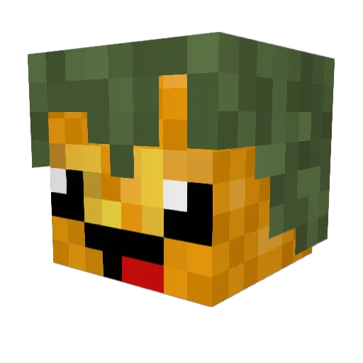 Anna2701 Minecraft avatar head, 3D render