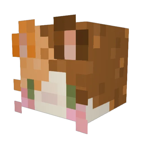 AnnaBananaaa Minecraft avatar head, 3D render
