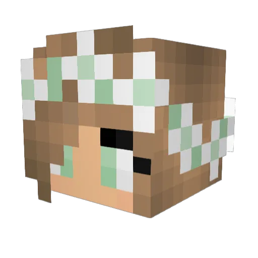 AnnaBeth6421 Minecraft avatar head, 3D render