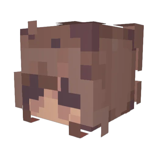 AnnaDaUgly Minecraft avatar head, 3D render