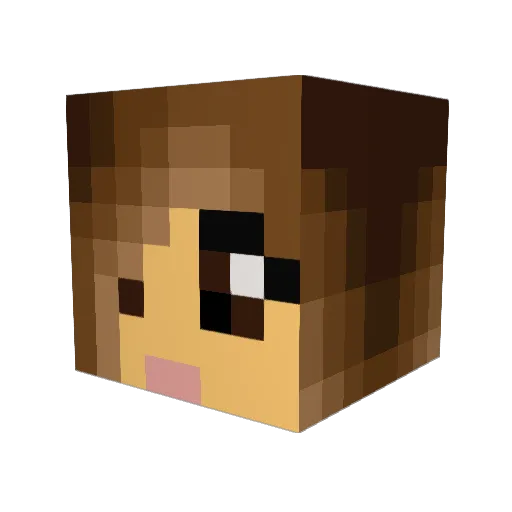 AnnaFalgren Minecraft avatar head, 3D render