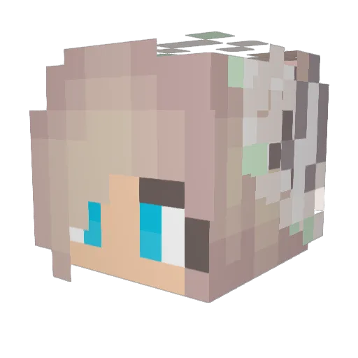 AnnaJune24 Minecraft avatar head, 3D render
