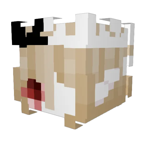AnnaKira2 Minecraft avatar head, 3D render