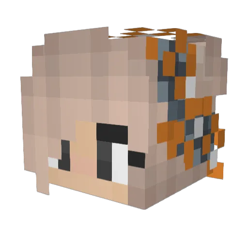 AnnaMaus2004 Minecraft avatar head, 3D render