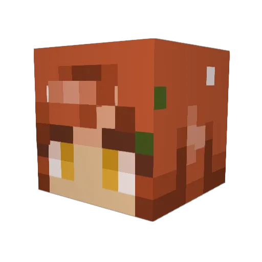 AnnaNogit_ Minecraft avatar head, 3D render